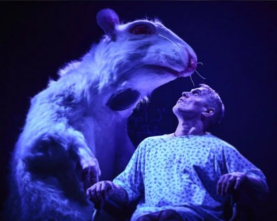 Цветы для Элджернона