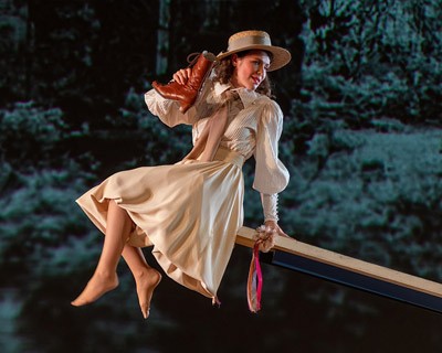 Сцены из деревенской жизни